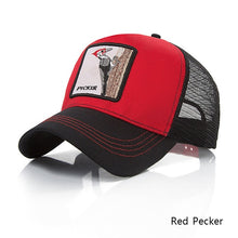 Load image into Gallery viewer, ISUMMER Hot Sale Baseball Cap