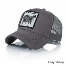 Load image into Gallery viewer, ISUMMER Hot Sale Baseball Cap