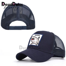 Load image into Gallery viewer, DesolDelos Baseball Cap