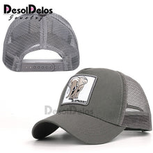 Load image into Gallery viewer, DesolDelos Baseball Cap