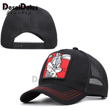 Load image into Gallery viewer, DesolDelos Baseball Cap