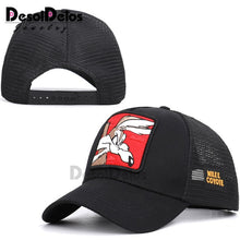Load image into Gallery viewer, DesolDelos Baseball Cap