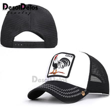 Load image into Gallery viewer, DesolDelos Baseball Cap